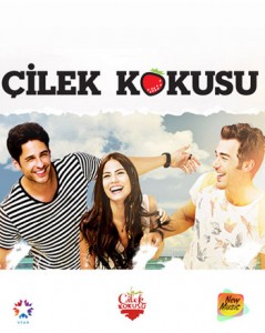 Çilek Kokusu E23 (End)