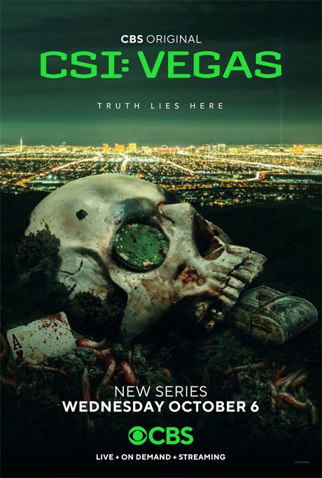 CSI: Vegas S03E09