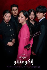 Ms. Incognito: Season 1